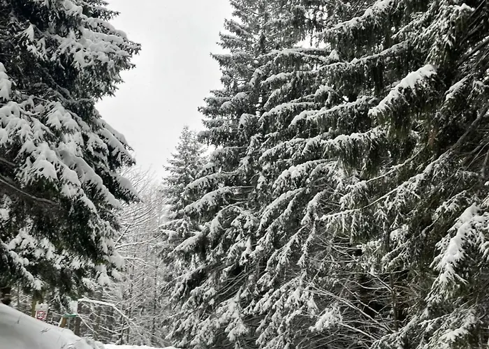 Czarna Góra - Nordaparts 105 - Biała Perła Apartamento *